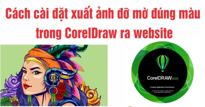 Cách cài đặt xuất ảnh đỡ mờ và đúng màu trong CorelDraw ra website
