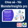 Tải chia sẻ miễn phí plugin MonsterInsights pro