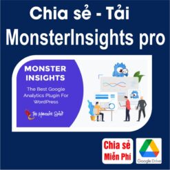 Tải chia sẻ miễn phí plugin MonsterInsights pro